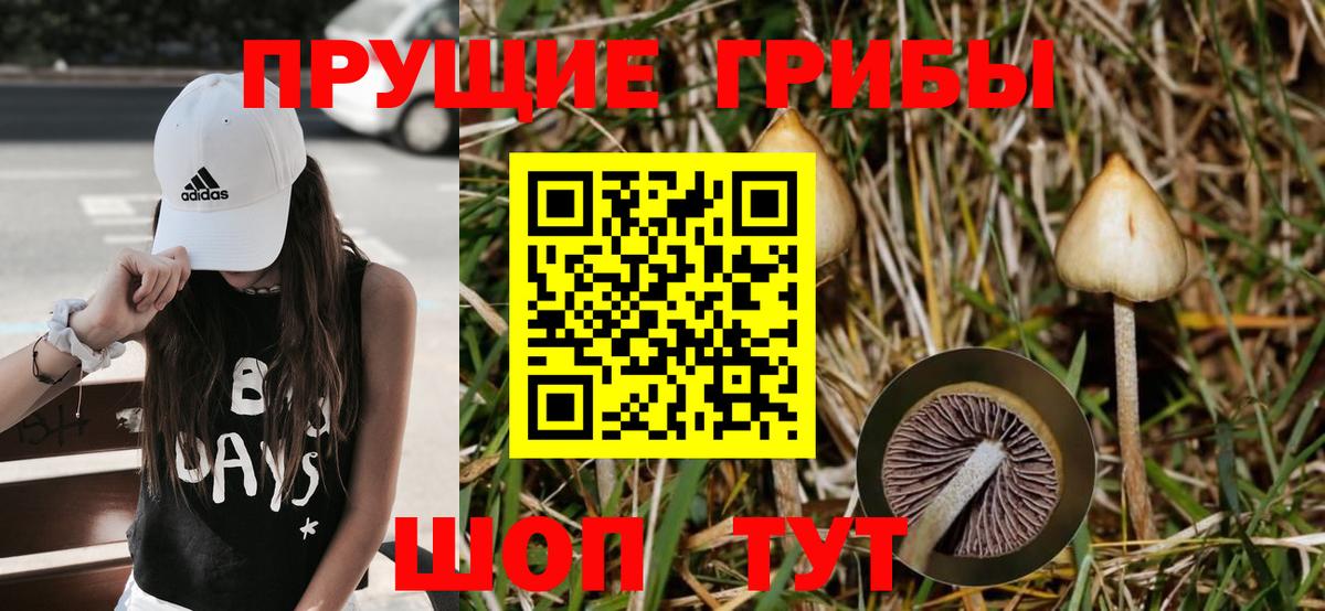 Галлюциногенные грибы прущие грибы  Вход с VPN  Биробиджан 